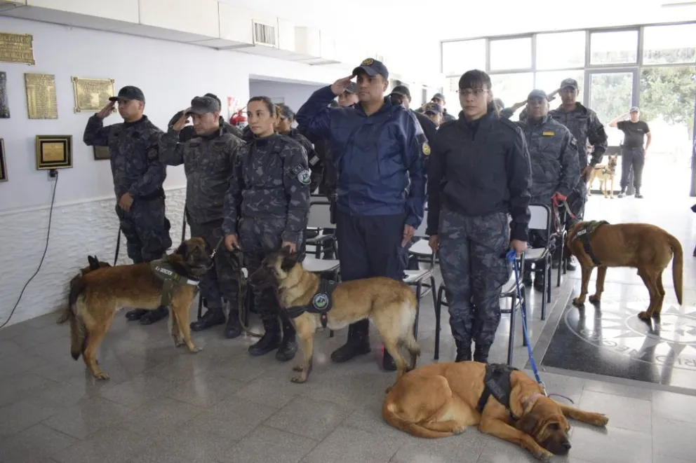 Los animales entrenados son la pieza fundamental de los nuevos operativos. Foto ilustrativa.