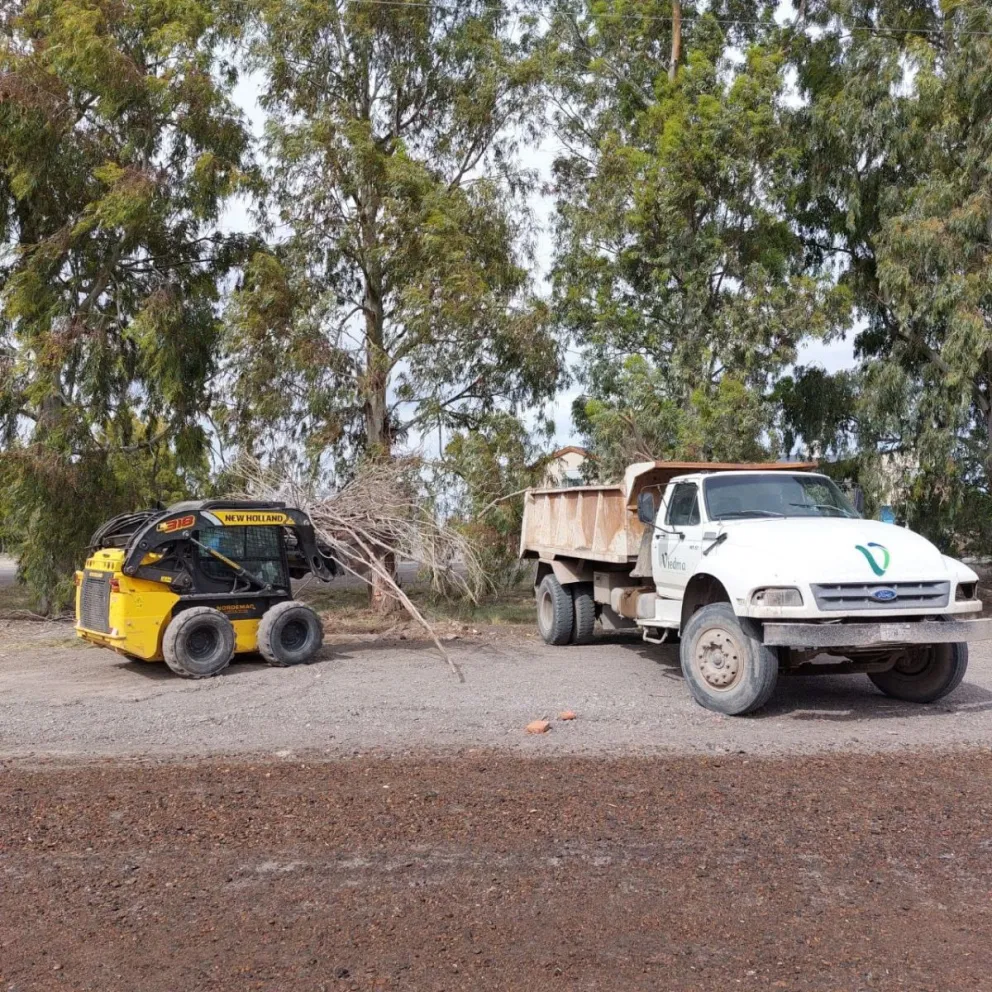 Se estableció un cronograma al respecto.