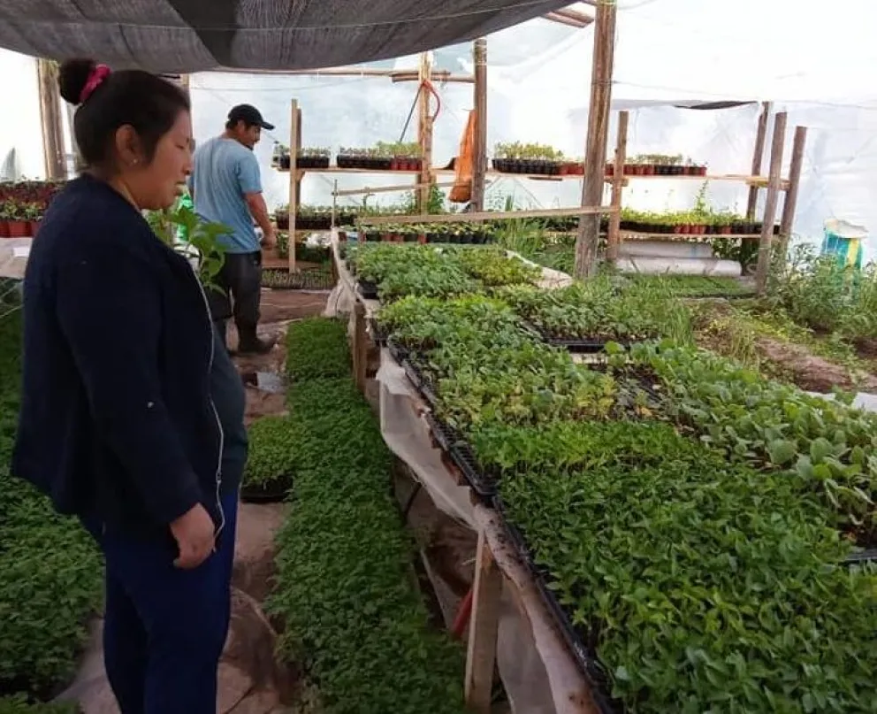 Historias y relatos que nacen de sus propias voces. Foto: Facebook Mujeres rurales patagónicas.