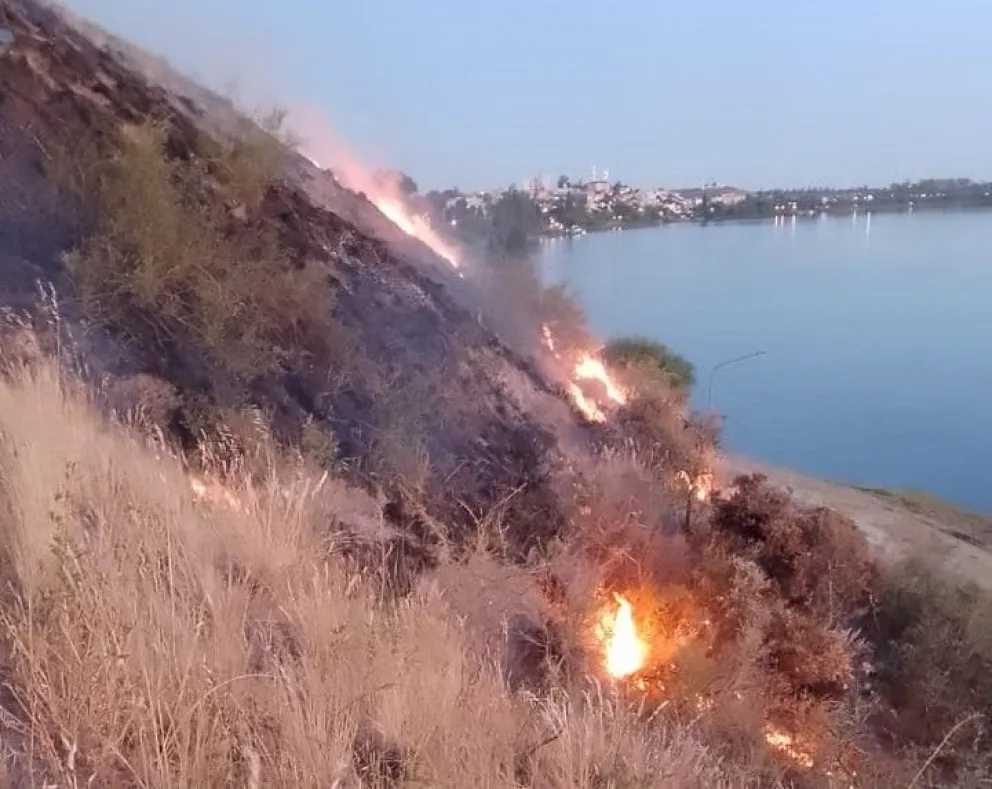 Todo indica que el incendio habría sido intencional. 