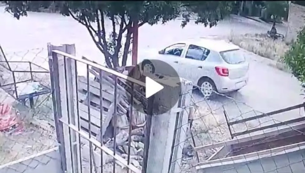 El Sandero gris que tiene preocupados a vecinos de Patagones (Foto: captura)