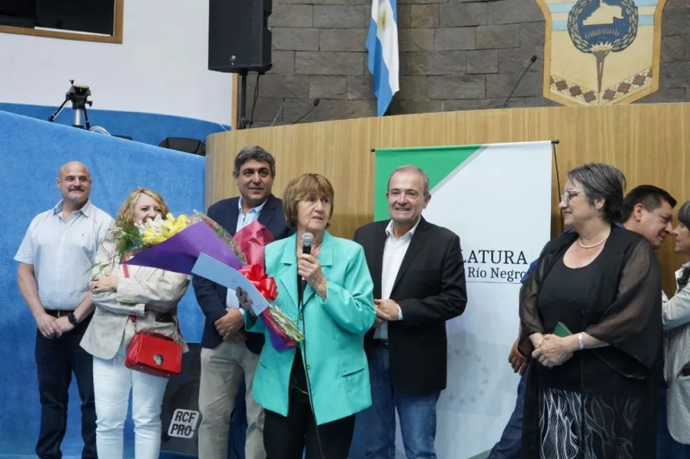La Legislatura reconoció el valor de las enfermeras. 