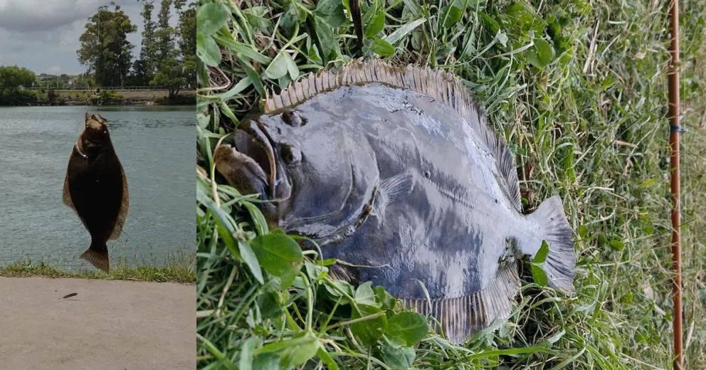 Pablo con su lenguado en la costanera de Viedma.