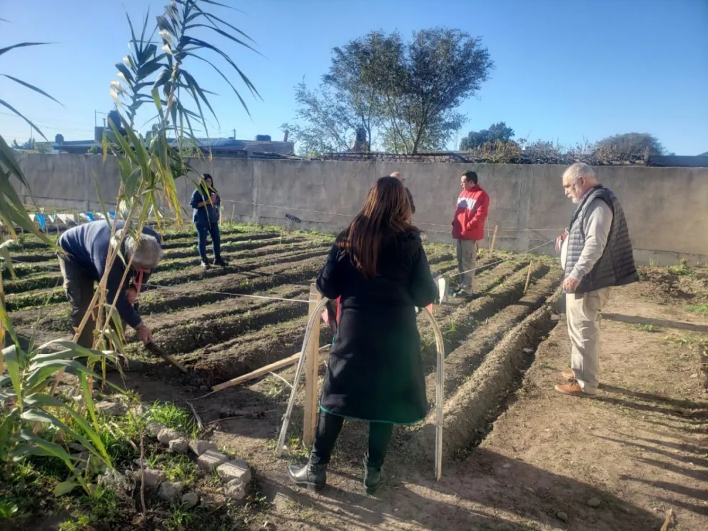 En el CADEM también realizan actividades de huerta. Foto archivo.