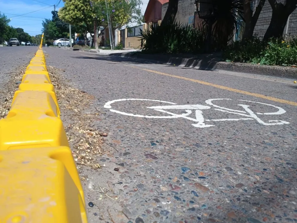 Bicisendas en Viedma en etapa de evaluación 