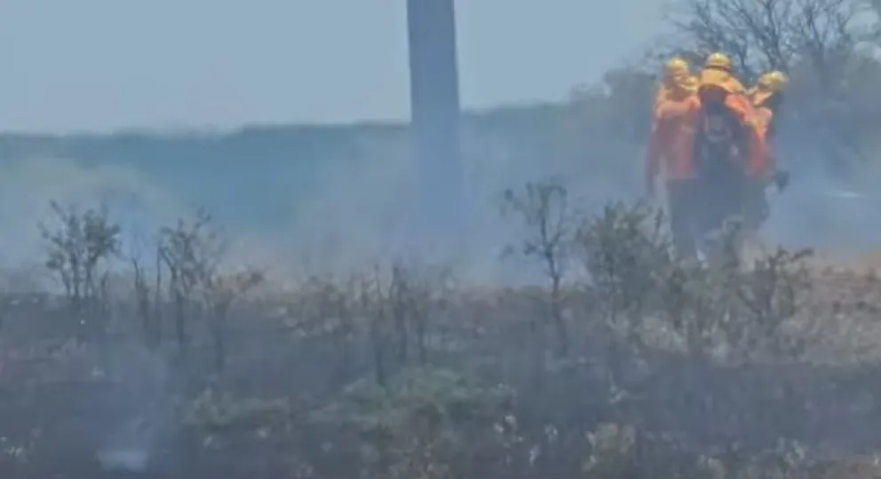 El foco de incendió se dio a 10 kilómetros de Patagones (Foto: Mapuchito Noticias)