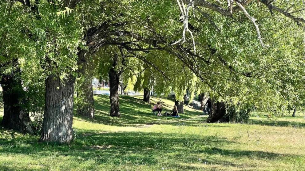 Según los pronósticos oficiales.