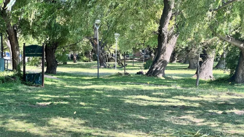 Según los pronósticos oficiales.