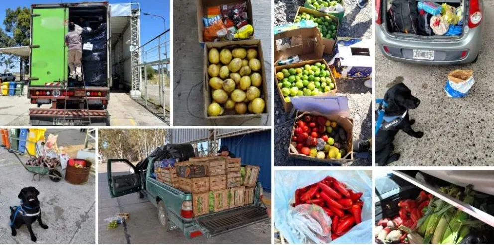 Marca personal en todos las estaciones de control.