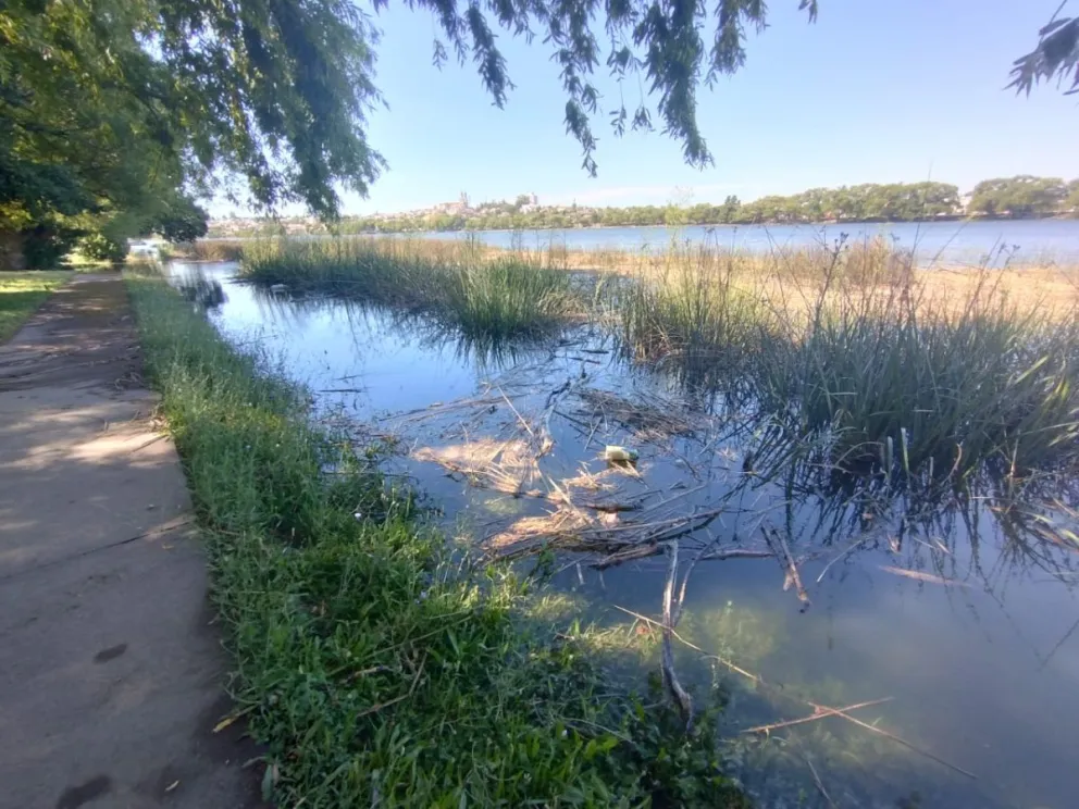 El trabajo de los guardavidas se ve afectado por estas condiciones. (FOTOS DANIEL IDIARTE).