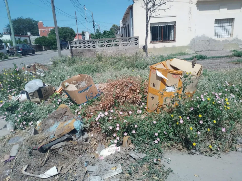 Los vecinos siguen tirando basura en las esquinas. 