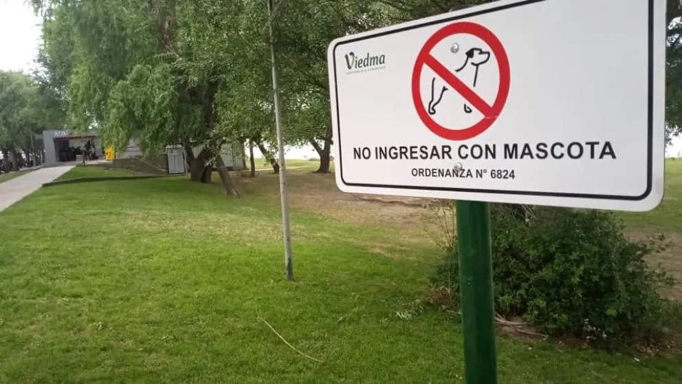 Si bien existen sanciones para quienes infringen las normas, lo fundamental sigue siendo generar conciencia.