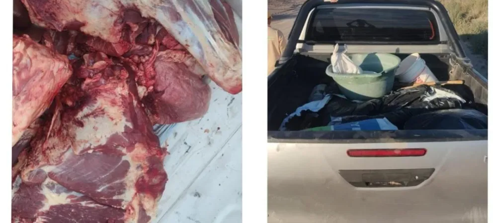 Las piezas fueron decomisadas y destruidas.