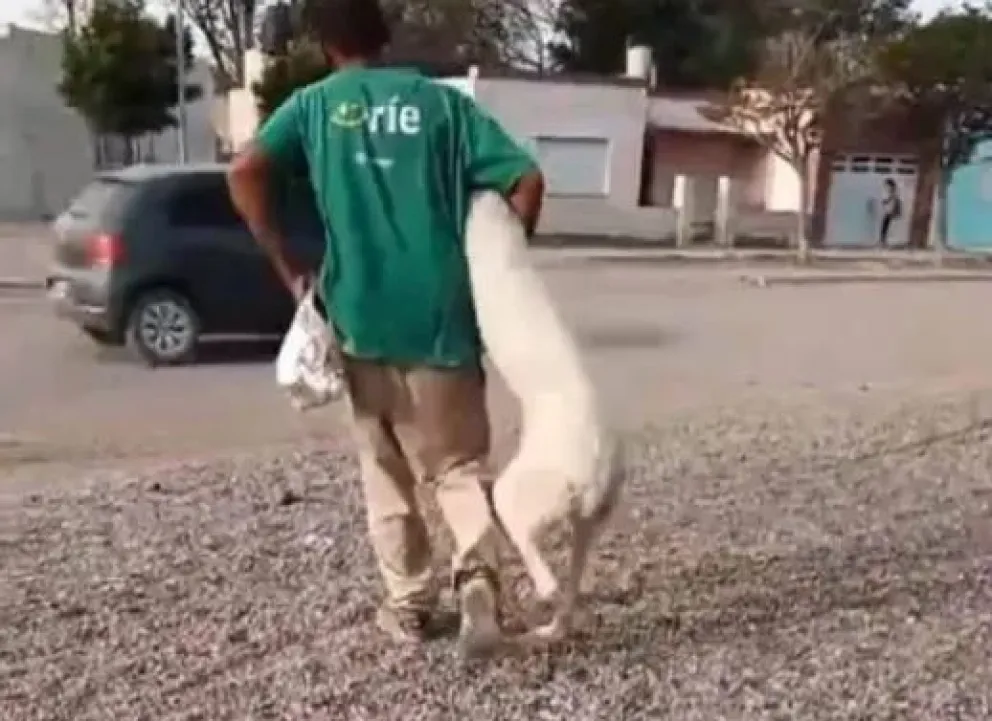 Acusaron a un sujeto de haber violado perros en San Antonio y ahora está en Viedma. 
