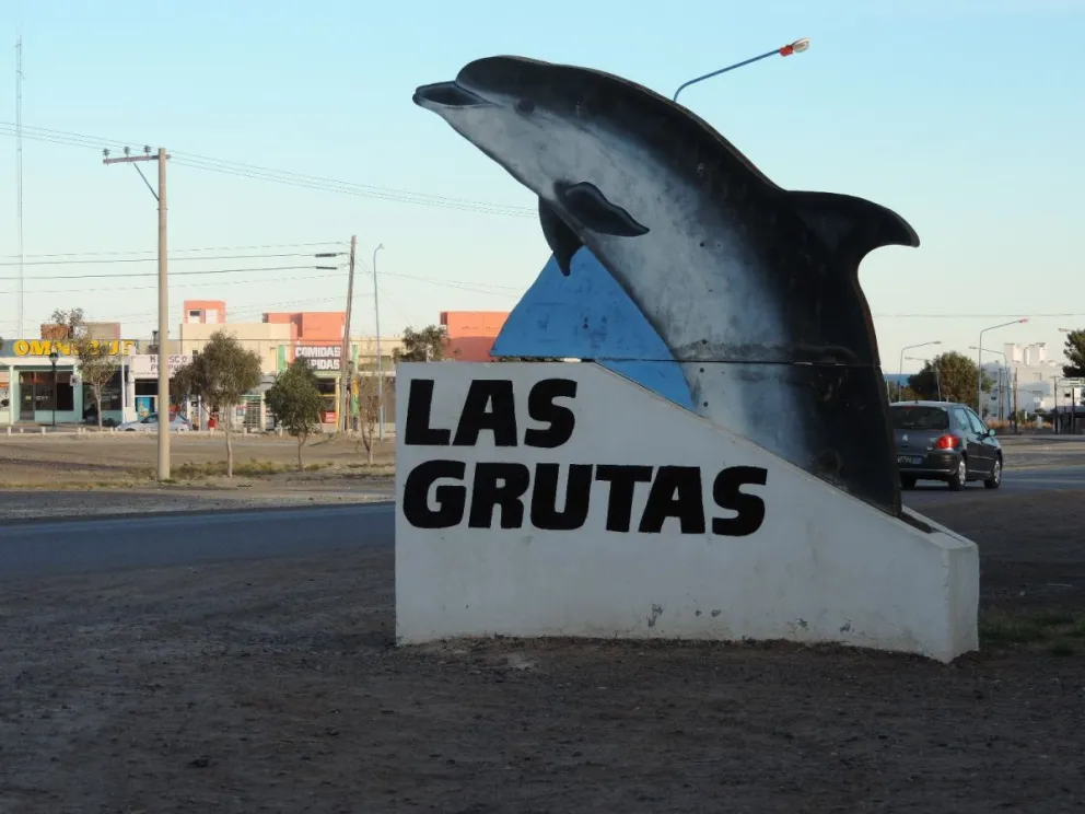 Imponen que por cada ejemplar derribado, deben plantar cuatro más. Foto archivo.