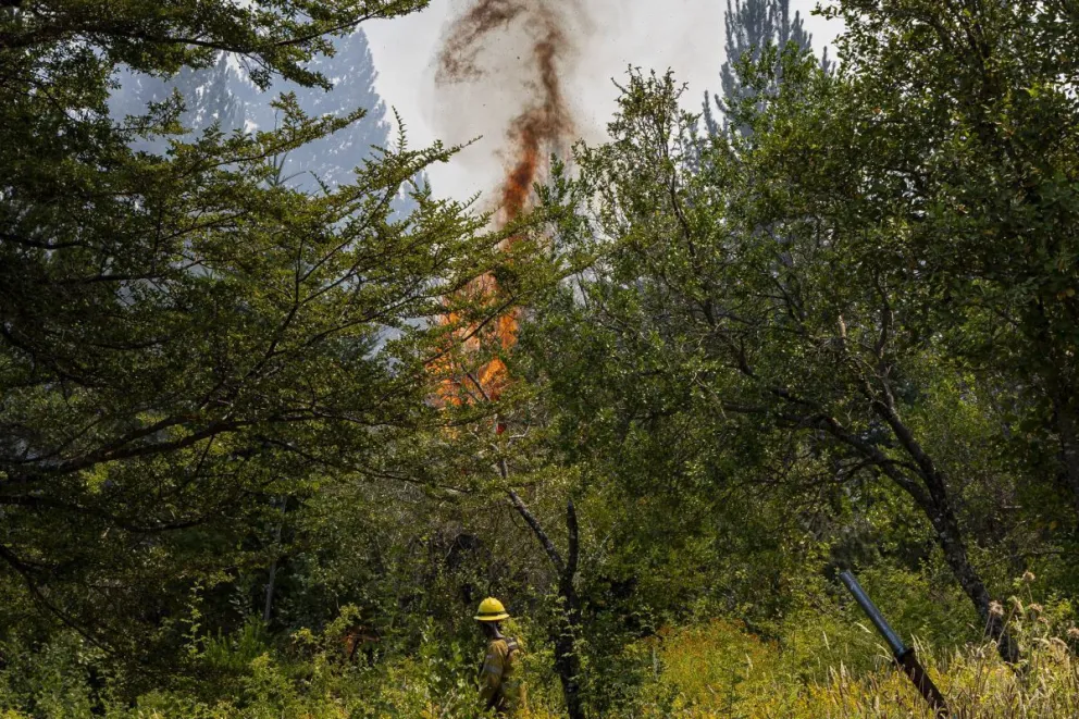 Se esperan vientos y altas temperaturas para la jornada de hoy (foto: Eugenia Neme) 