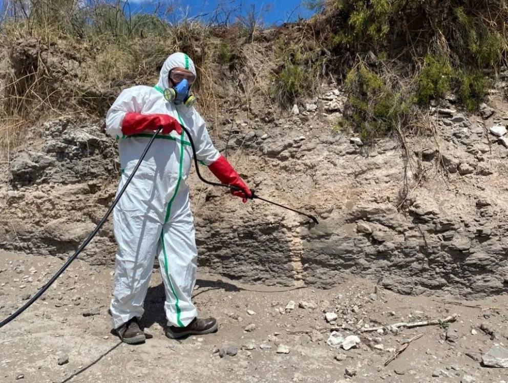 Las tareas comenzaron este martes por la tarde. 