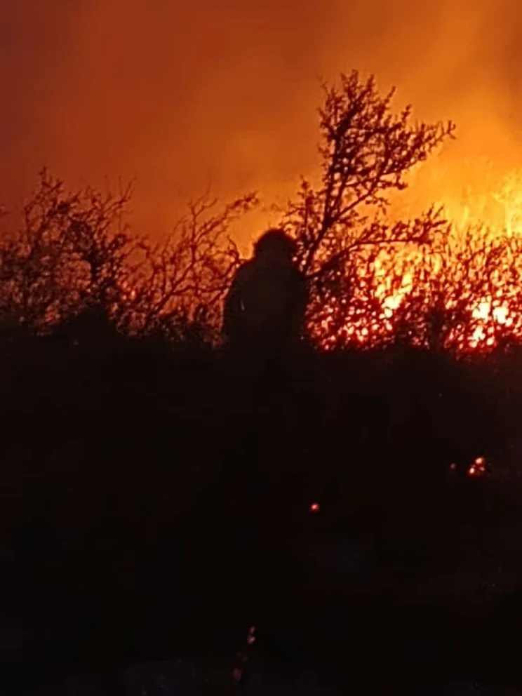 El combate es diario y durante las 24 horas del día.