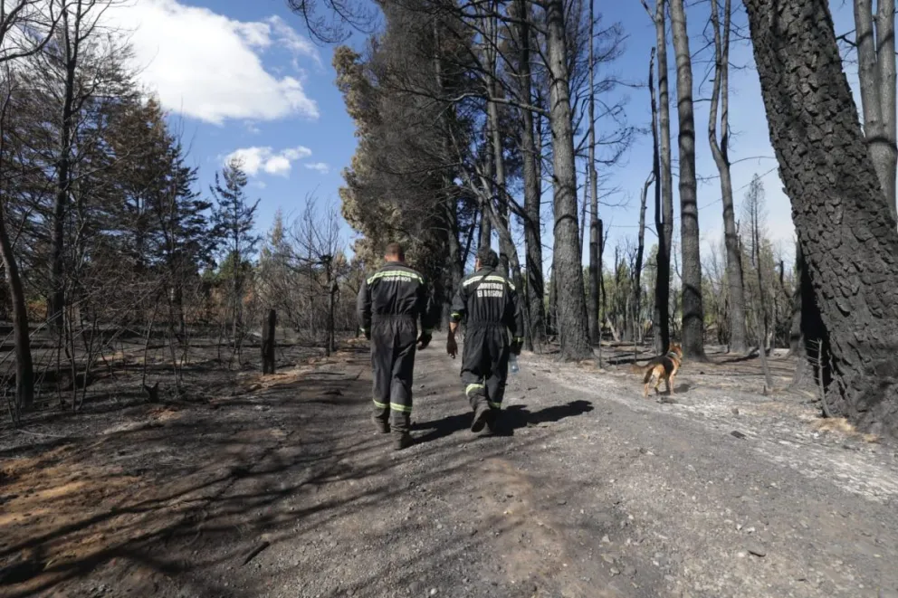 Se plantea la creación de un fondo de compensación para incentivar denuncias de incendios provocados.