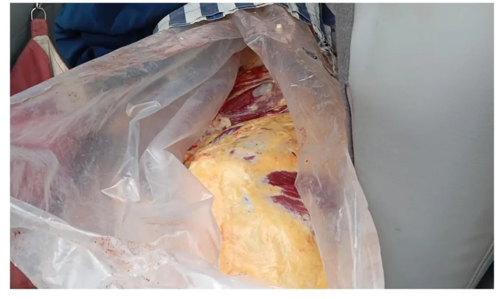 Los secuestros fueron en zona rural y urbana de Carmen de Patagones. 