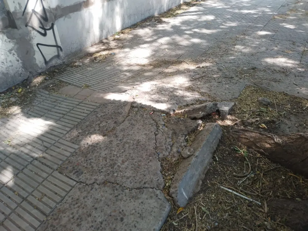 Un accidente dio lugar a que vecinos de Viedma denuncien el mal estado ...