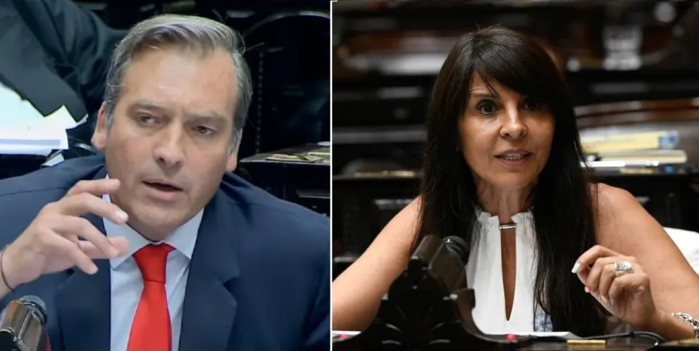 El cruce contra la rionegrina fue durante la sesión donde se trató el proyecto Ficha Limpia.