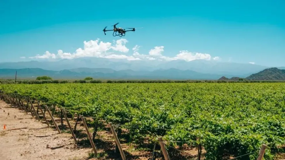 La tecnología al servicio del campo con drones agrícolas. 