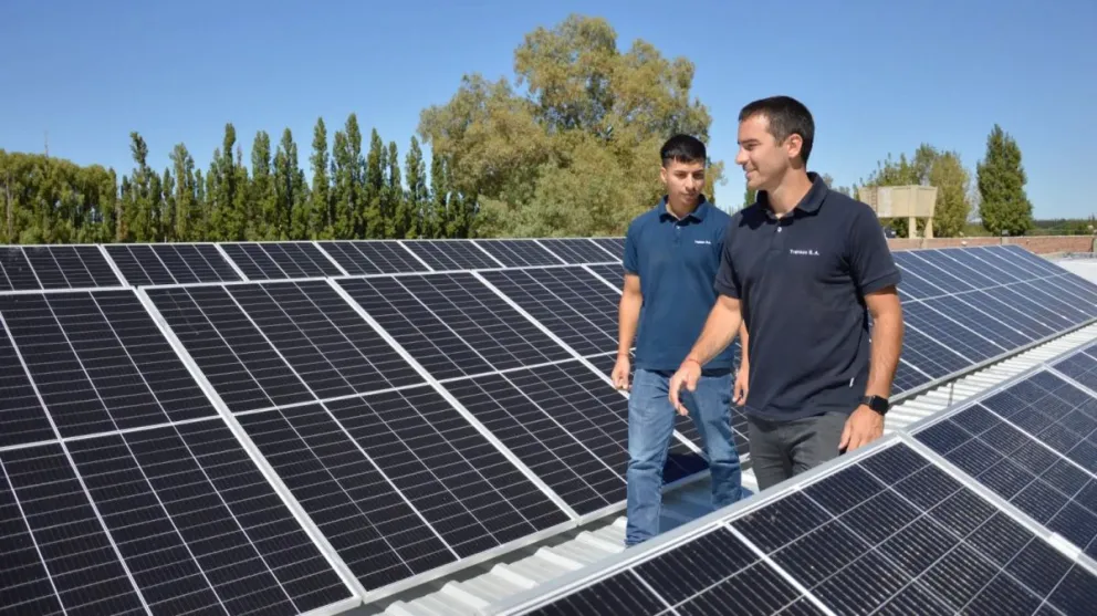 El sistema montado esta compuesto por 60 paneles solares.
