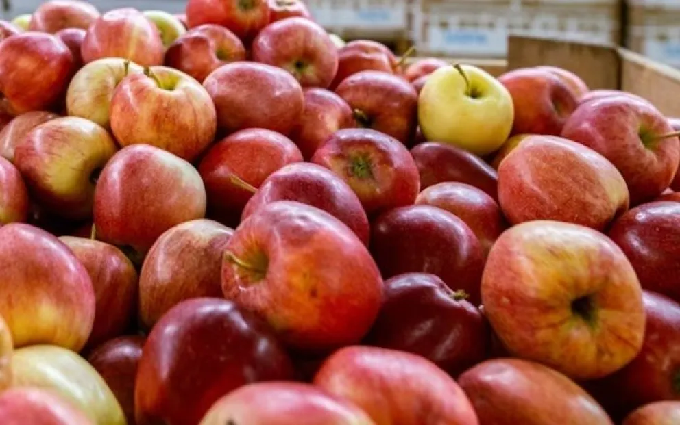 Advierten la falta de políticas provinciales que orienten el desarrollo del sector.