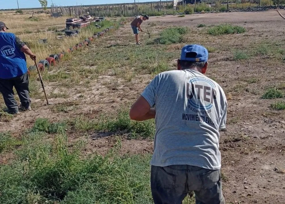 Las tareas se desarrollaron en el transcurso de los últimos días. 