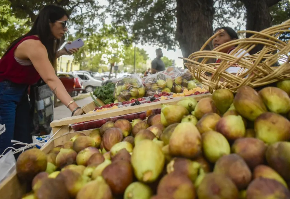 La capacitación estará a cargo de técnicos de la Agencia San Javier del Instituto Nacional de Tecnología Agropecuaria (INTA). 