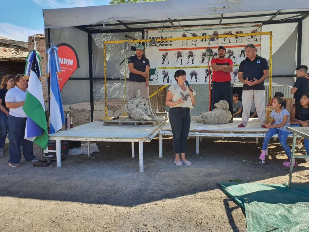 El arnés conquistó a los esquiladores presentes en la celebración.