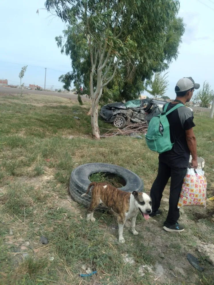 Los airbags funcionarios pero no alcanzaron.