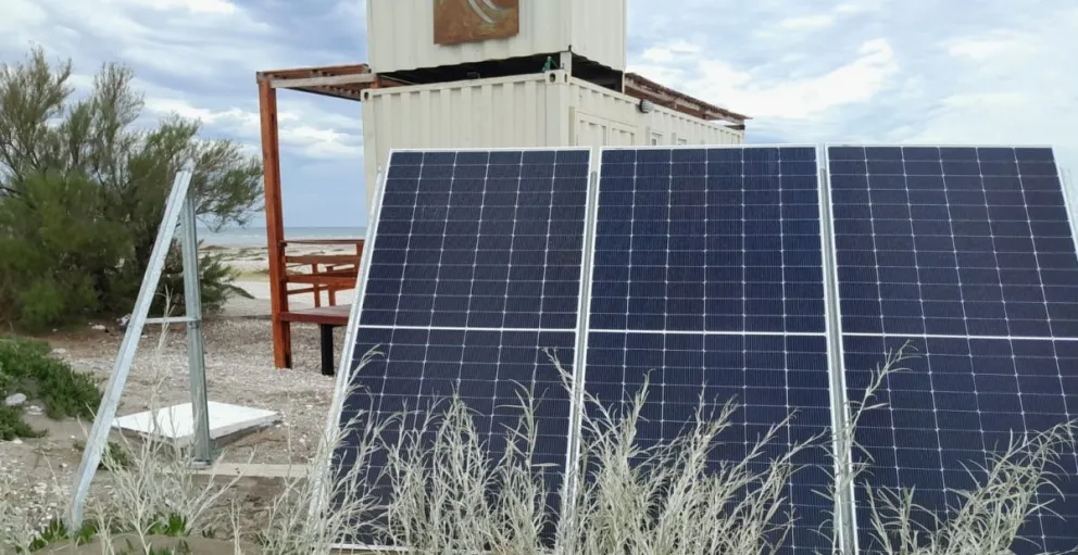 El hecho delictivo fue descubierto por integrantes de una patrulla ambiental. Fotos gentileza.
