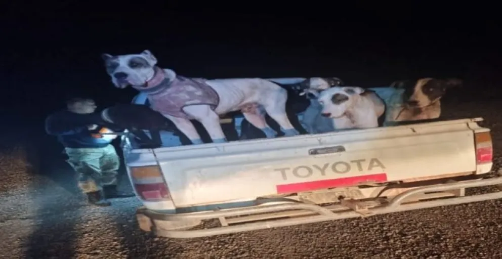 Salió a cazar, pero terminó con un acta en su contra.