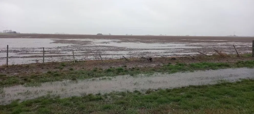 Issaly, productor agropecuario de la zona, describió la magnitud de la emergencia. Foto: Radiogabal.