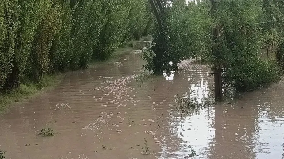En algunas zonas, el granizo cayó durante varios minutos. Bomberos y personal municipal trabajan en las áreas más afectadas.(Fotos gentileza)