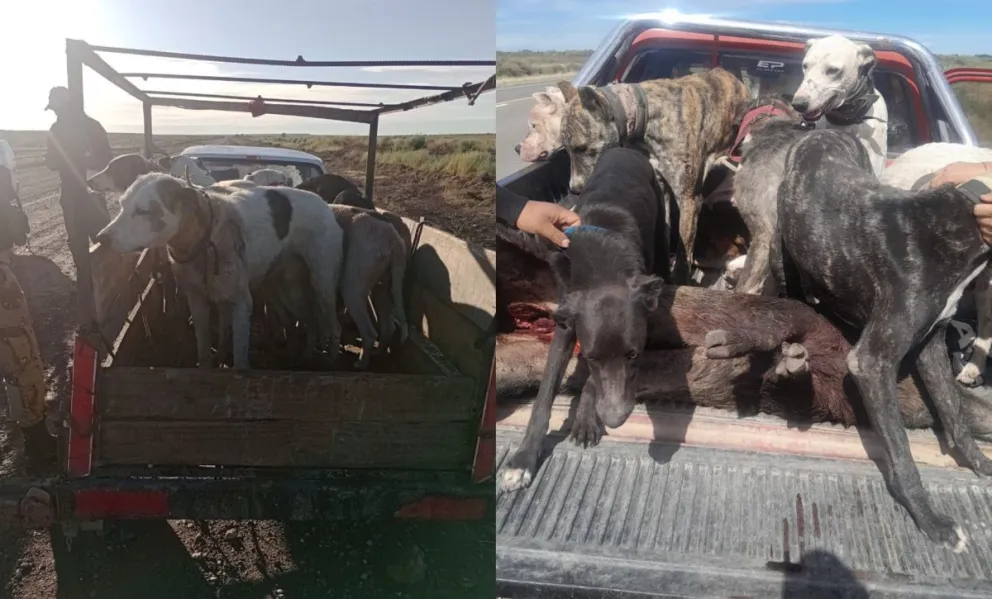 Los controles se realizaron durante la mañana de este lunes. 