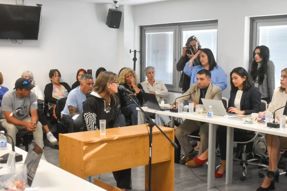 Conmovedor testimonio de la madre de Tomás Andrade, de 11 años. Foto Vanesa Schwemmler NoticiasNet. 