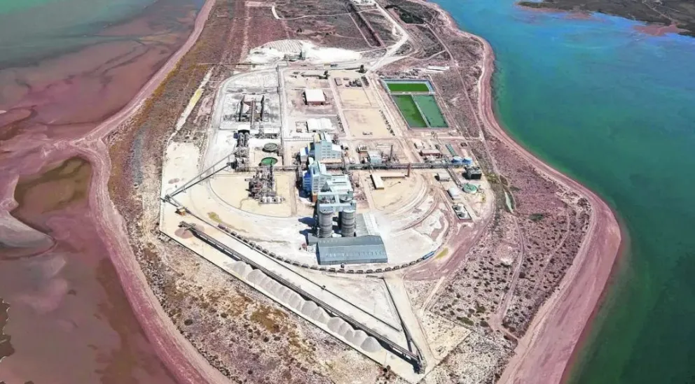 Prefectura encontró el cuerpo en la zona del muelle de ALPAT. Foto: archivo