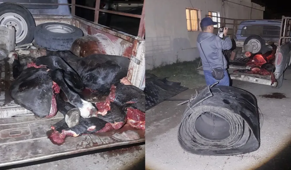 La detención se produjo por abigeato y hurto. 