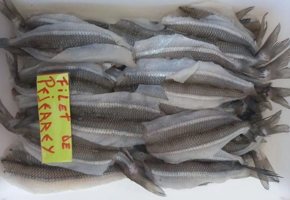 Las pescaderías locales intentan minimizar el impacto en sus ventas.