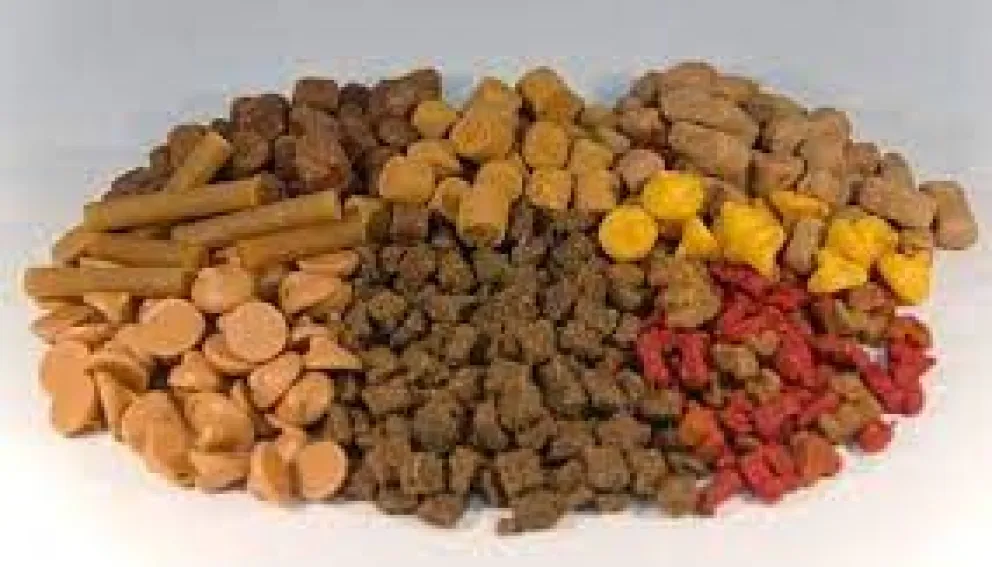 Piden que la gente se anime a denunciar más casos de malos tratos.