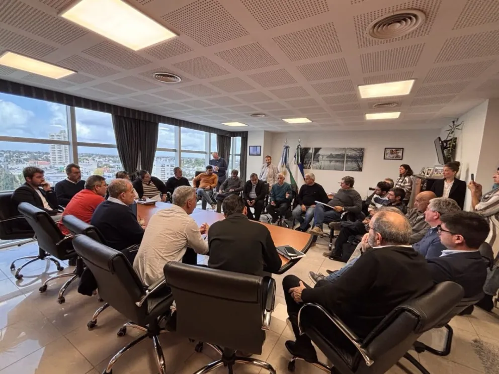 Las entidades solicitaron que el Parlamento actúe como intermediaria ante las autoridades nacionales.