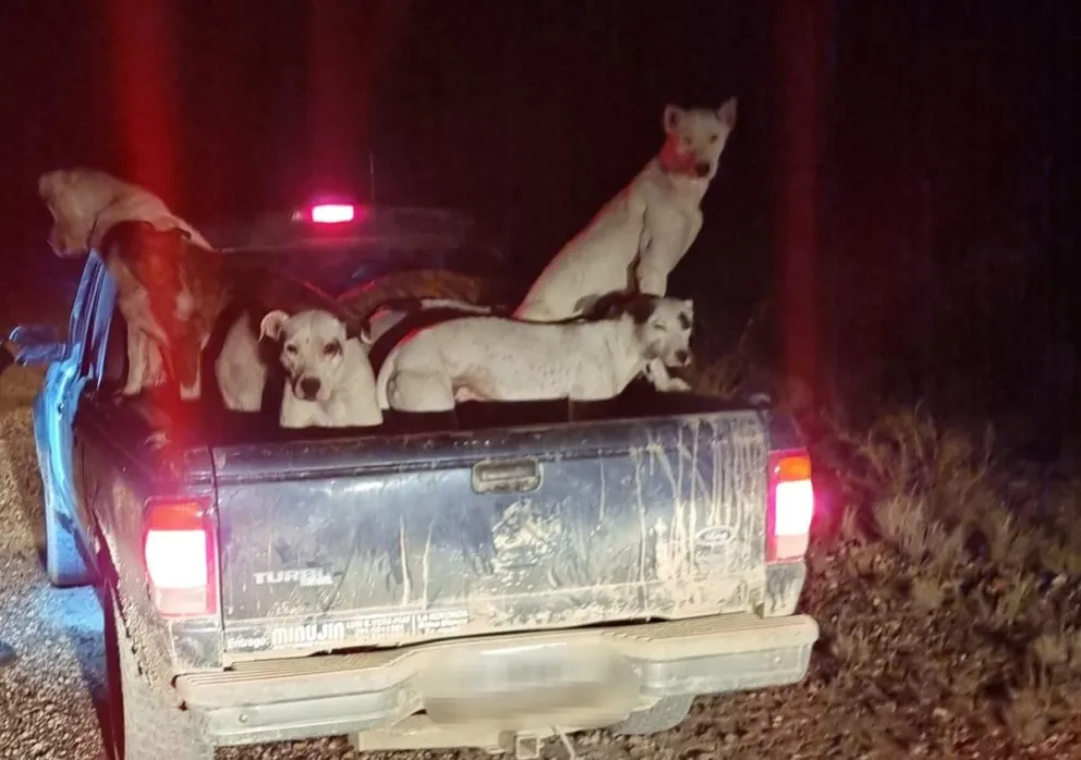 Rápido accionar del personal policial. 