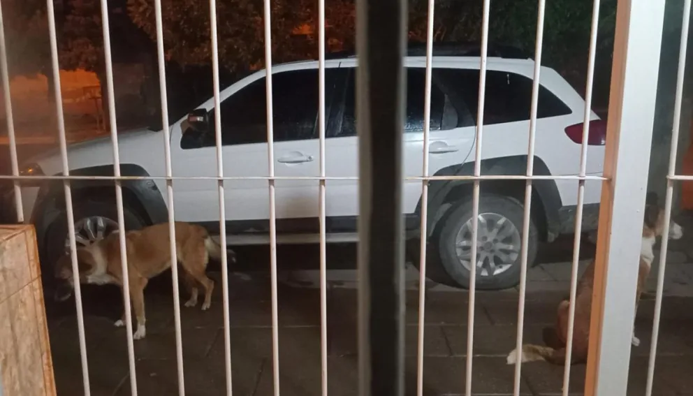 Las fotos aportadas por el propietario dan cuenta de lo ocurrido. 