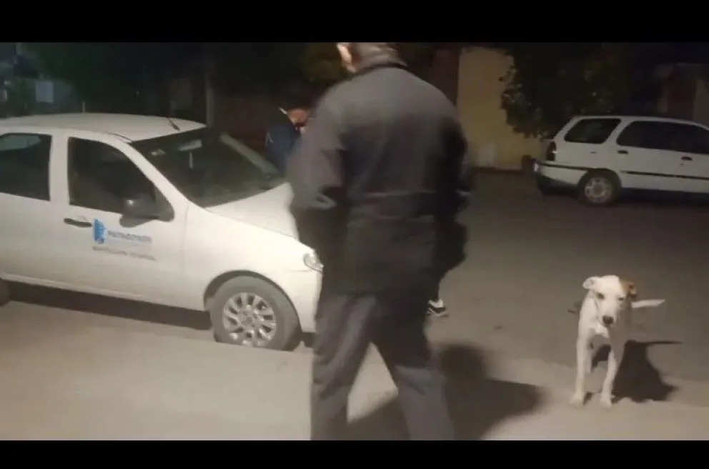 El acta de lo ocurrido fue elevado al Juzgado de Faltas del Municipio de Patagones. 