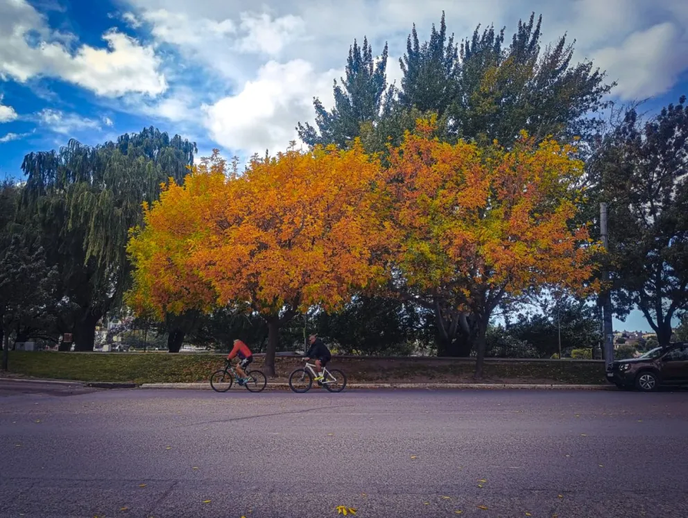 Según los pronósticos oficiales.
