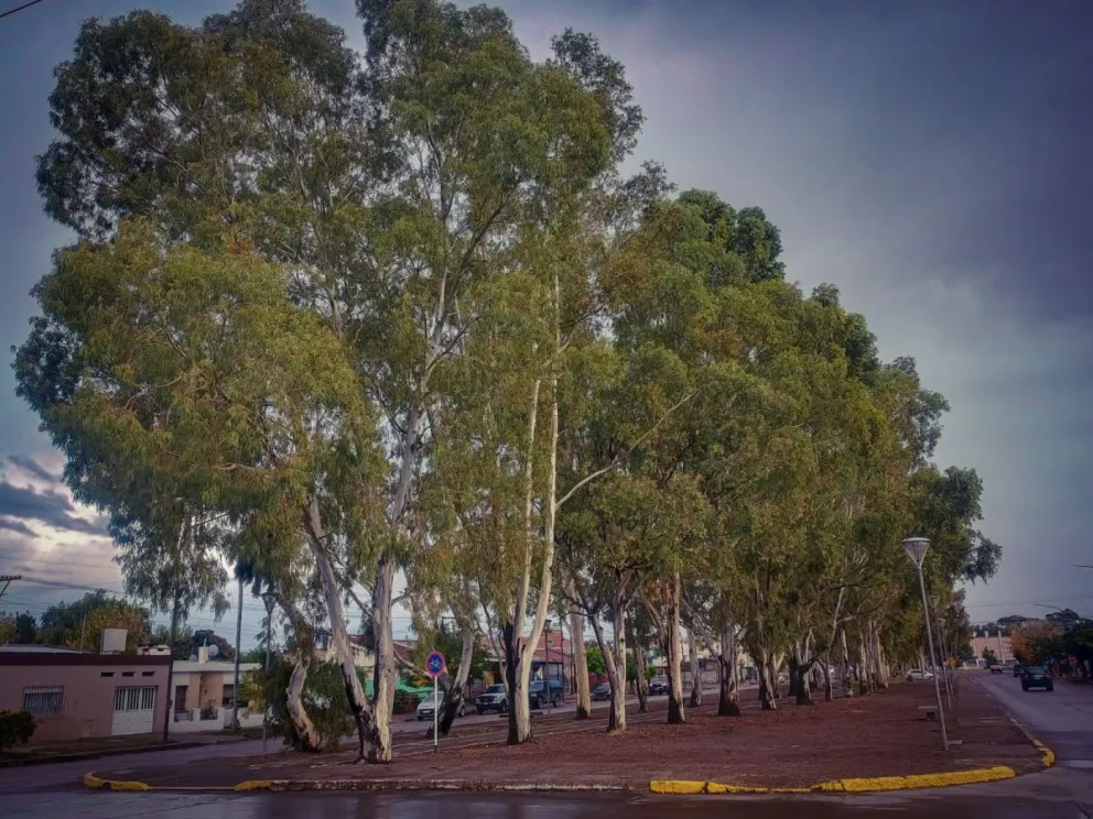 El pronóstico para la capital de Río Negro y sus alrededores anticipa una semana de clima cambiante.