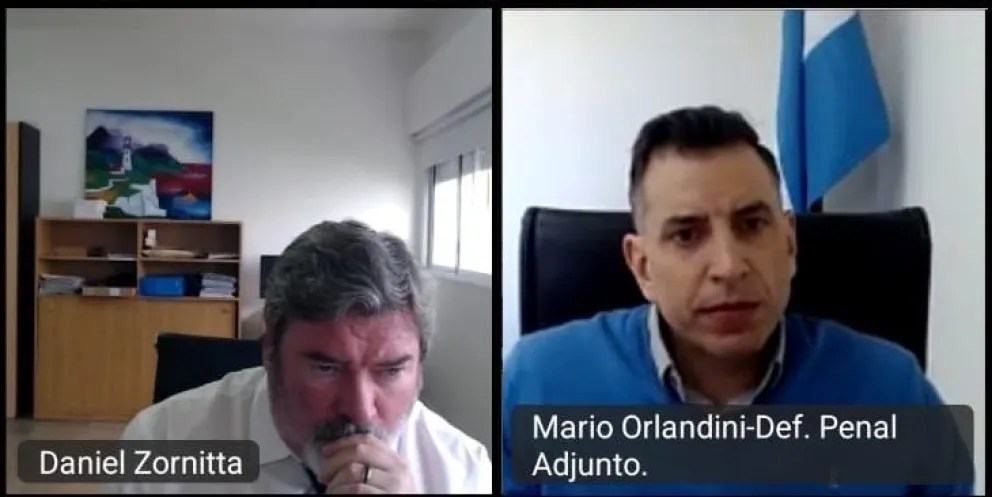 Investigan las acciones que causaron la muerte del animal. 